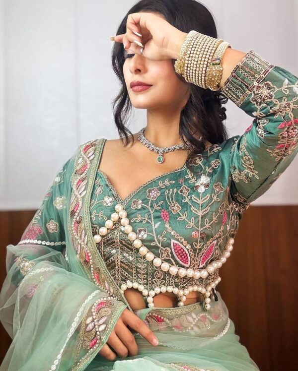 ✨ DreamNet Embroidered Pearl Work Saree Set with Designer Blouse – 6 Ethnic Colors 🥻💎